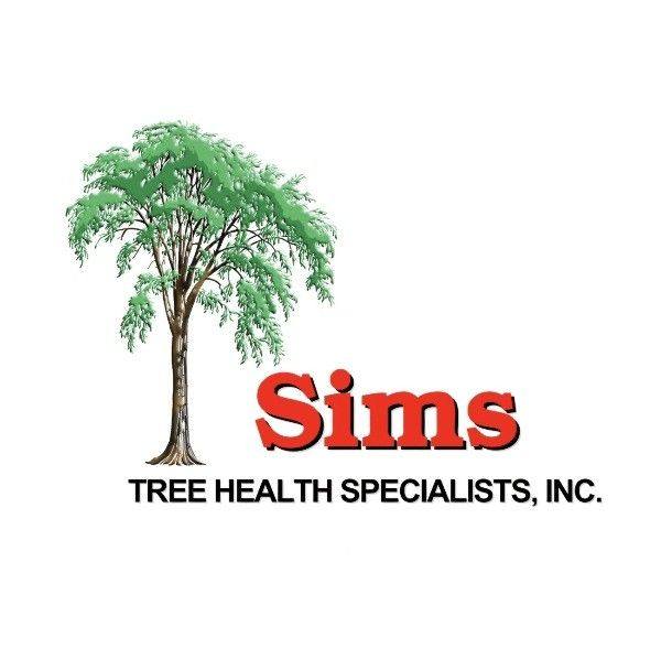 461565595_843723247877191_546039202898787153_n